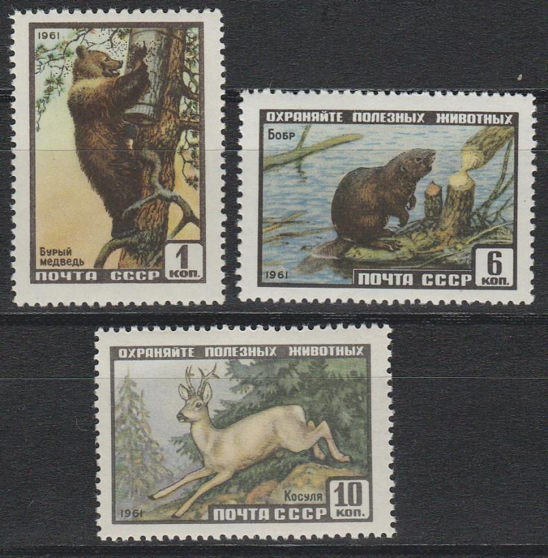 восточные символы года. полет собак в космос белка и стрелка. стрелка собака космонавт. животные побывавшие в космосе для детей. животные побывавшие в космосе.