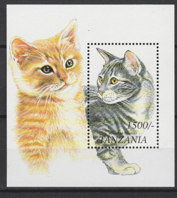 почтовые марки с кошками